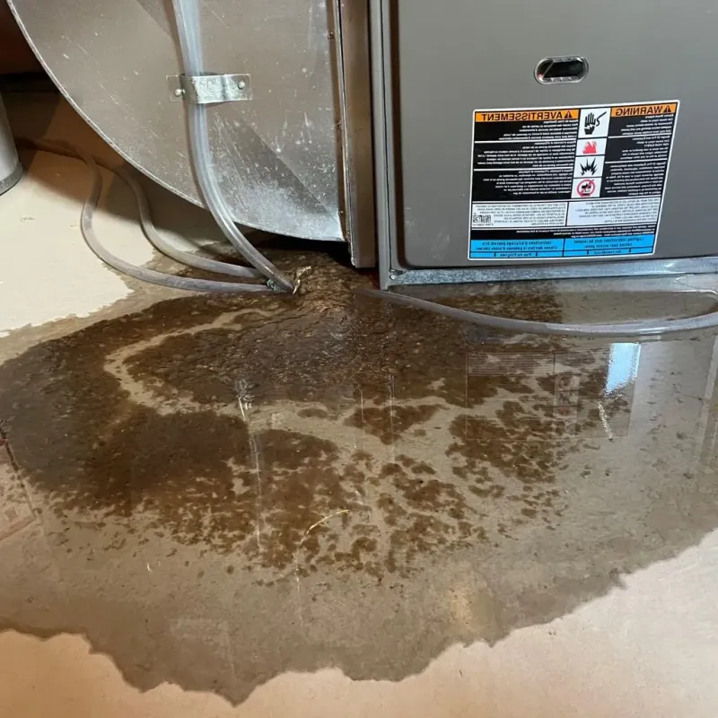 Pipe Burst and Leak Restoration in Sunnyside, GA
