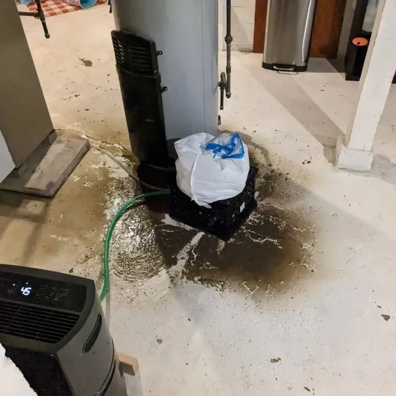 Sewage Backup Cleanup Service in Sunnyside, GA